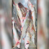 River Ayer Fish – 4-6 KG Size ( নদীর আইড় মাছ – ৪-৬ কেজি সাইজ )