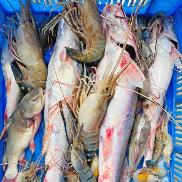 River Fresh Premium Mix Fish ( নদীর ফ্রেশ প্রিমিয়াম মিক্স মাছ )